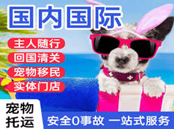 花果山空运国际宠物托运 【国